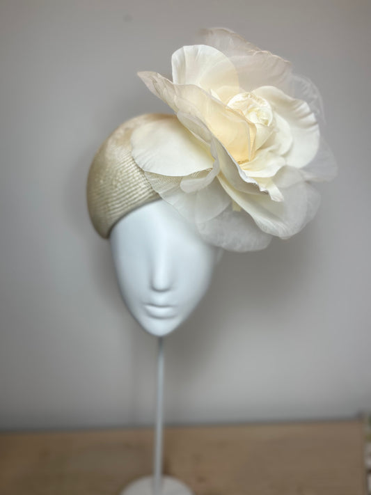 Ivory Elegance